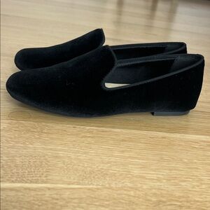 Black Starling Black Velvet